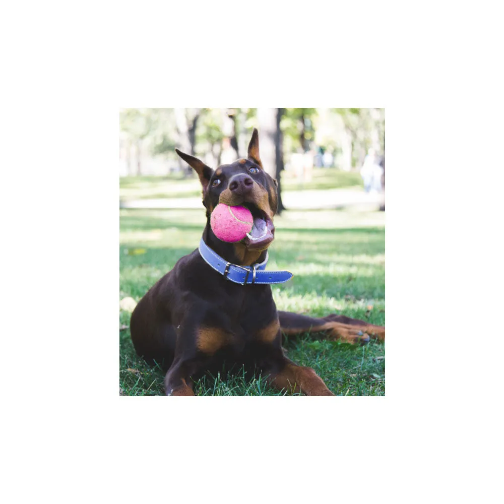 2 Pc Rubber Ball Pet Dog Toy Training Indestructible Chew Play Fetch Bite Toys