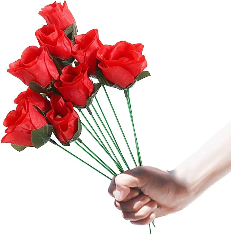 2025 New ArrivalMagic Rose - Torch to Rose