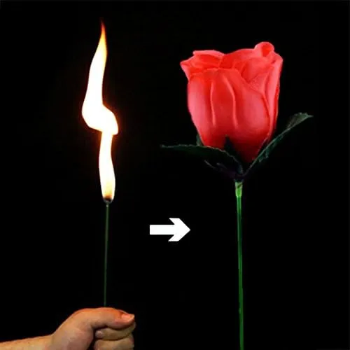 2025 New ArrivalMagic Rose - Torch to Rose