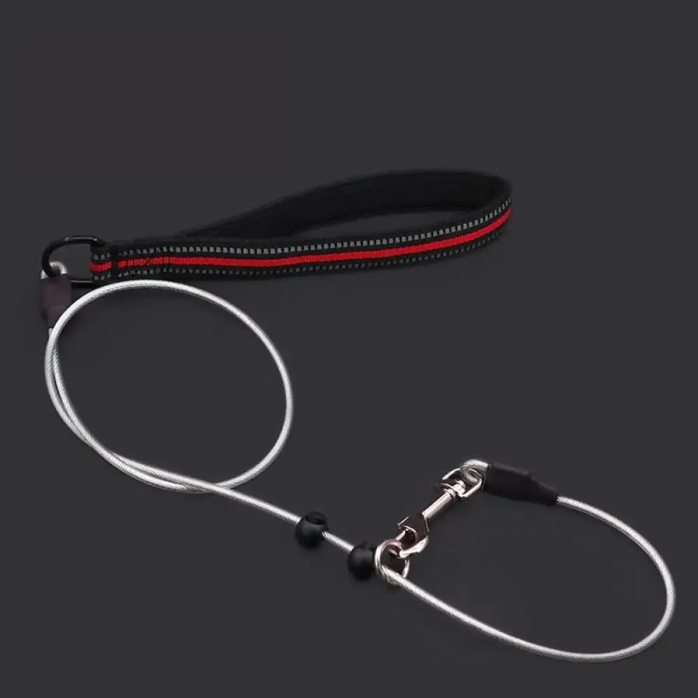 Chew Proof Reflective Soft Nylon Handle Steel Wire Pet Leash for Small, Medium Dogs