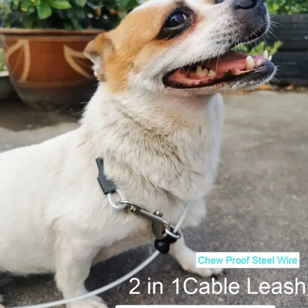 Chew Proof Reflective Soft Nylon Handle Steel Wire Pet Leash for Small, Medium Dogs