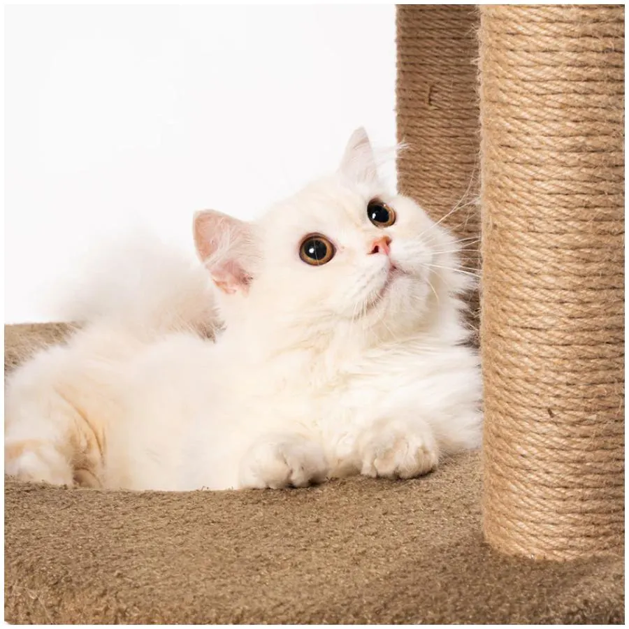 Pidan Cat Tree Fun Play