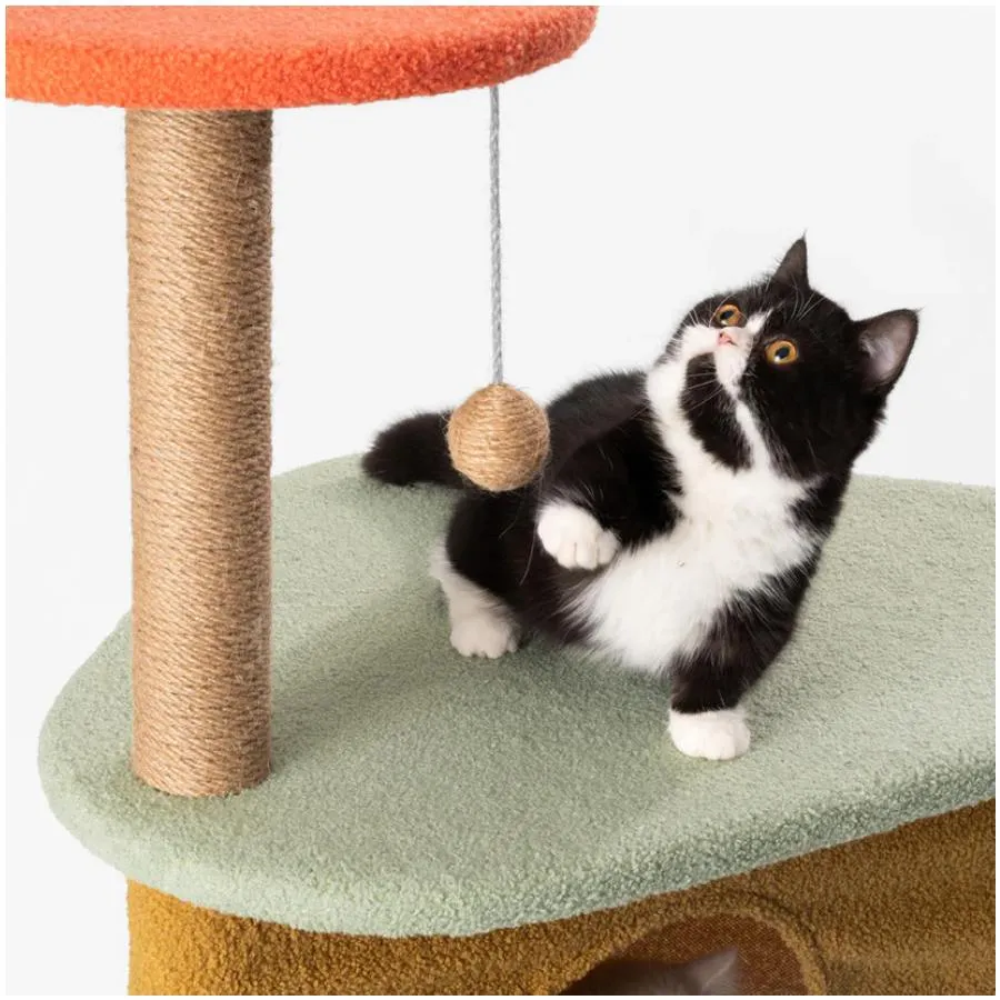 Pidan Cat Tree Fun Play